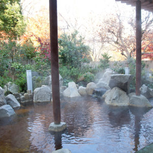「東京の温泉を極める」 ーTOKYO ONSEN MASTER への道。ー